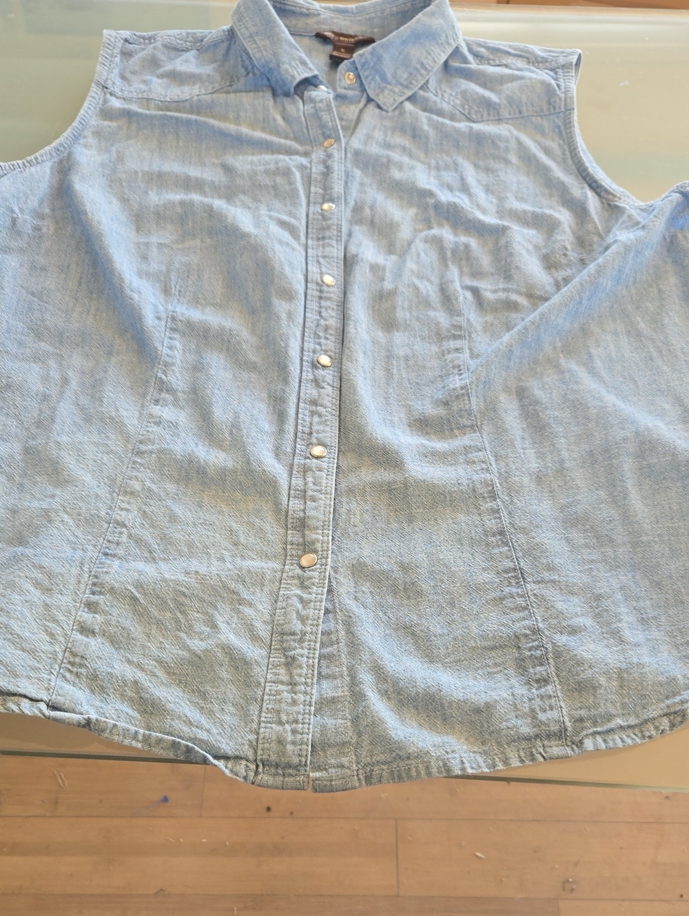 Bit & Bridle Light Denim Sleeveless Button-Front Top